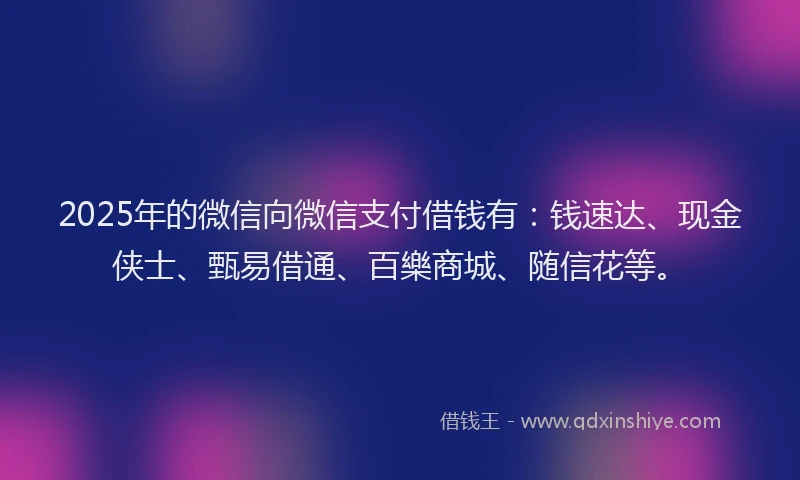 2025年的微信向微信支付借钱有：钱速达、现金侠士、甄易借通、百樂商城、随信花等。