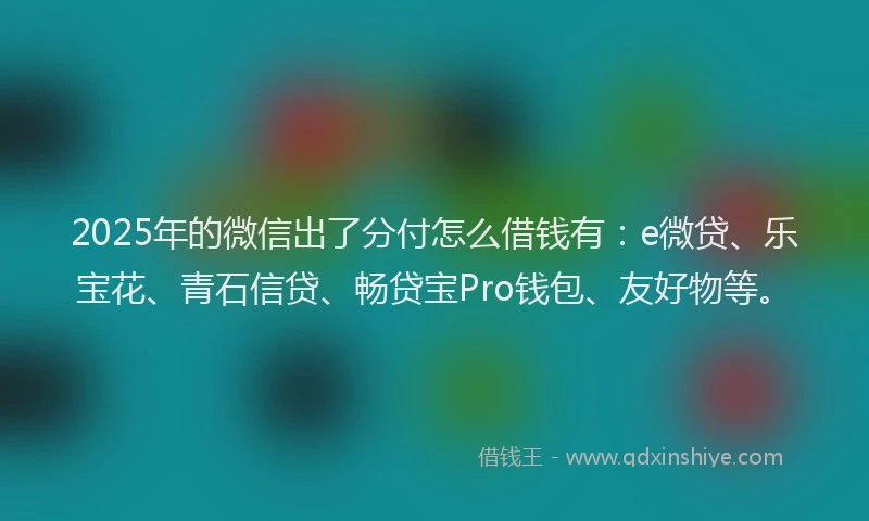2025年的微信出了分付怎么借钱有：e微贷、乐宝花、青石信贷、畅贷宝Pro钱包、友好物等。