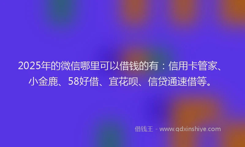 2025年的微信哪里可以借钱的有：信用卡管家、小金鹿、58好借、宜花呗、信贷通速借等。
