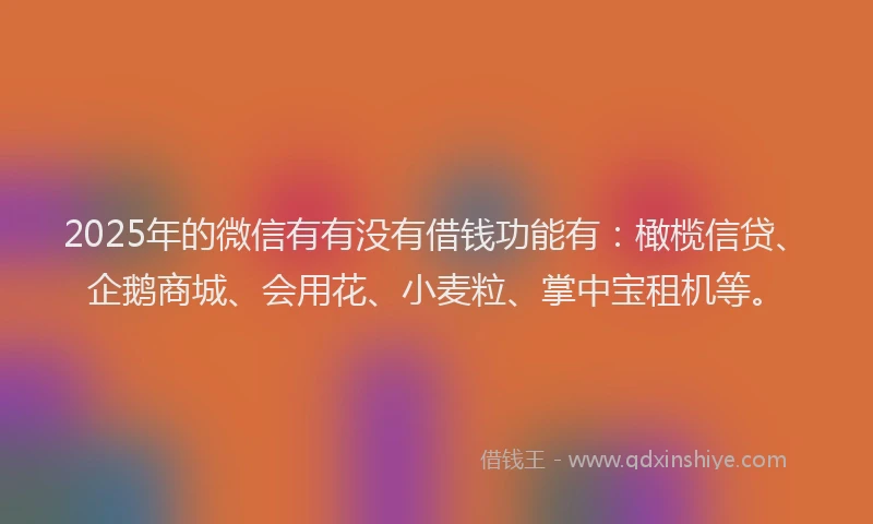 2025年的微信有有没有借钱功能有：橄榄信贷、企鹅商城、会用花、小麦粒、掌中宝租机等。