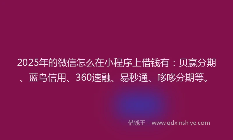 2025年的微信怎么在小程序上借钱有：贝赢分期、蓝鸟信用、360速融、易秒通、哆哆分期等。