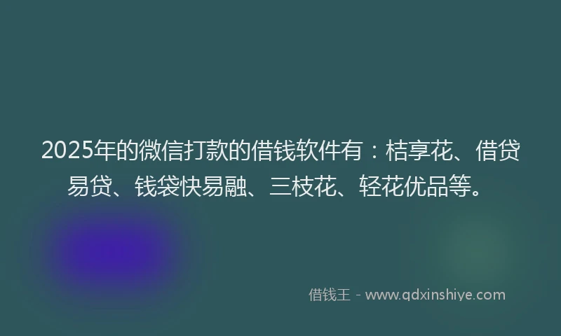 2025年的微信打款的借钱软件有：桔享花、借贷易贷、钱袋快易融、三枝花、轻花优品等。