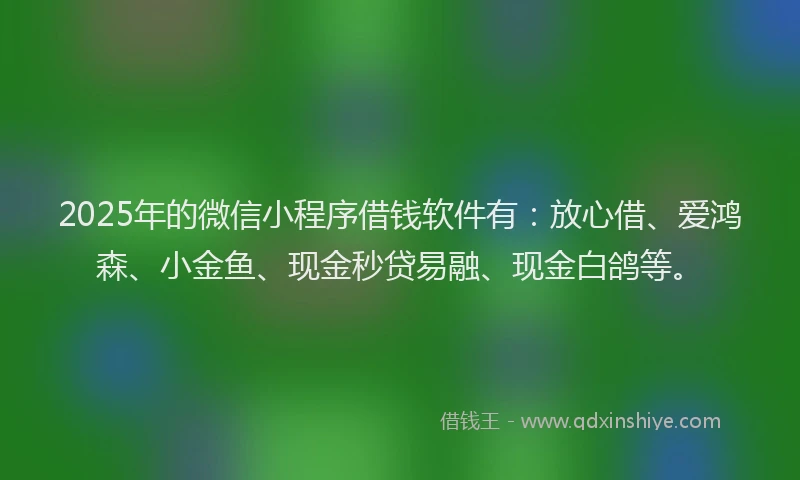 2025年的微信小程序借钱软件有：放心借、爱鸿森、小金鱼、现金秒贷易融、现金白鸽等。