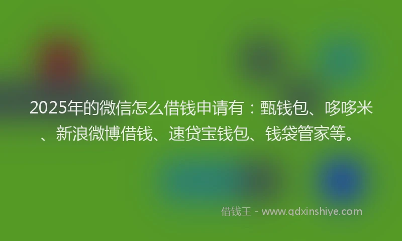 2025年的微信怎么借钱申请有：甄钱包、哆哆米、新浪微博借钱、速贷宝钱包、钱袋管家等。
