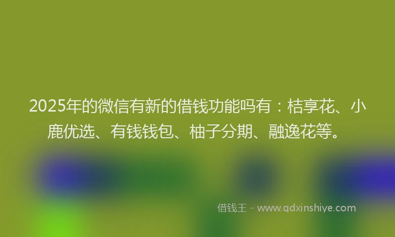 2025年的微信有新的借钱功能吗有：桔享花、小鹿优选、有钱钱包、柚子分期、融逸花等。