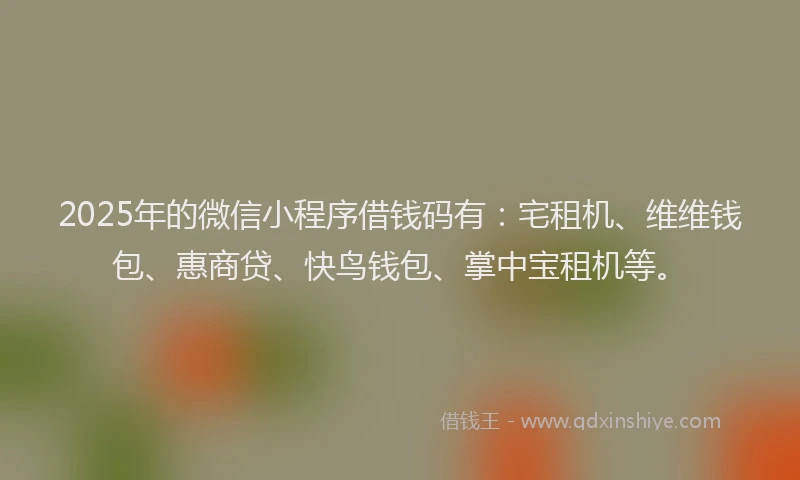 2025年的微信小程序借钱码有：宅租机、维维钱包、惠商贷、快鸟钱包、掌中宝租机等。