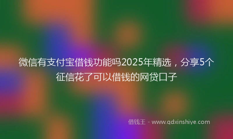 微信有支付宝借钱功能吗2025年精选，分享5个征信花了可以借钱的网贷口子