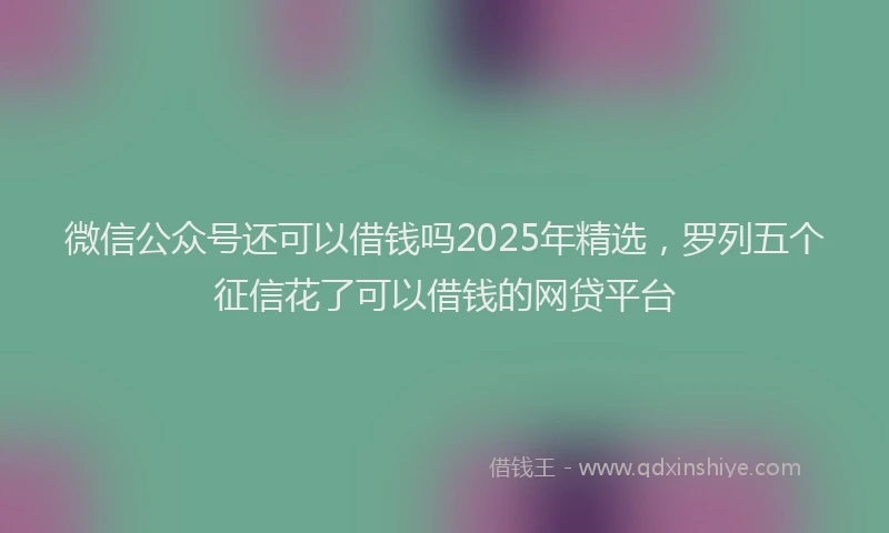 微信公众号还可以借钱吗2025年精选，罗列五个征信花了可以借钱的网贷平台