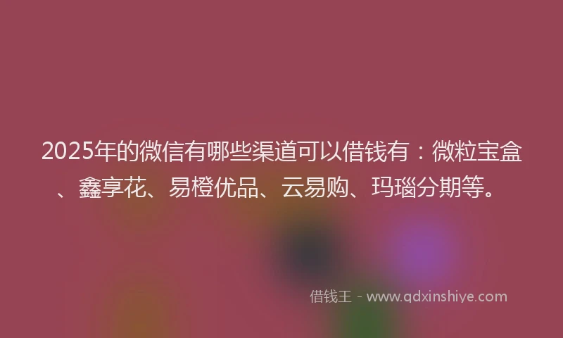 2025年的微信有哪些渠道可以借钱有：微粒宝盒、鑫享花、易橙优品、云易购、玛瑙分期等。