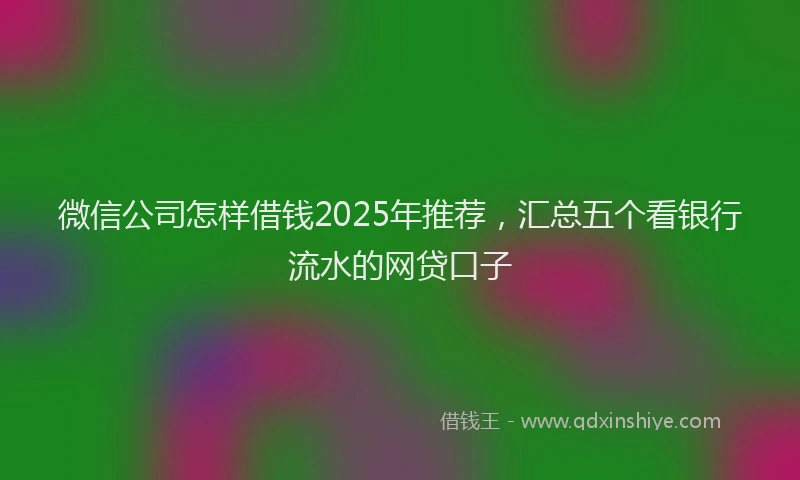 微信公司怎样借钱2025年推荐，汇总五个看银行流水的网贷口子