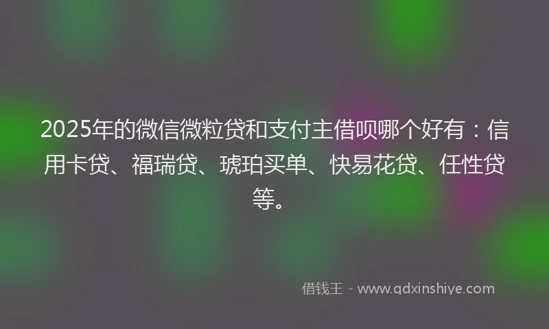 2025年的微信微粒贷和支付主借呗哪个好有：信用卡贷、福瑞贷、琥珀买单、快易花贷、任性贷等。