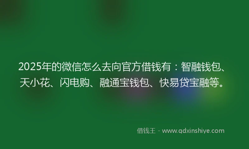 2025年的微信怎么去向官方借钱有：智融钱包、天小花、闪电购、融通宝钱包、快易贷宝融等。