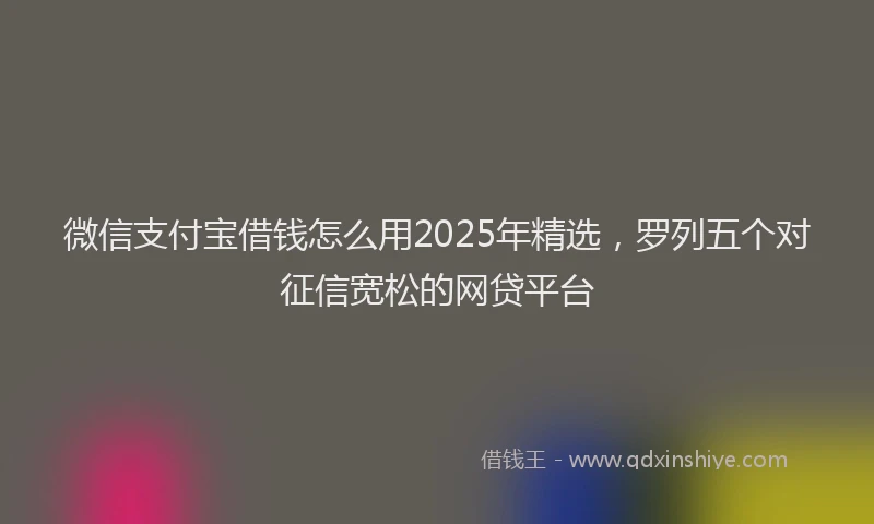 微信支付宝借钱怎么用2025年精选，罗列五个对征信宽松的网贷平台
