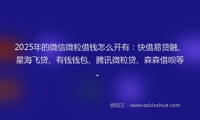 2025年的微信微粒借钱怎么开有：快借易贷融、星海飞贷、有钱钱包、腾讯微粒贷、森森借呗等。