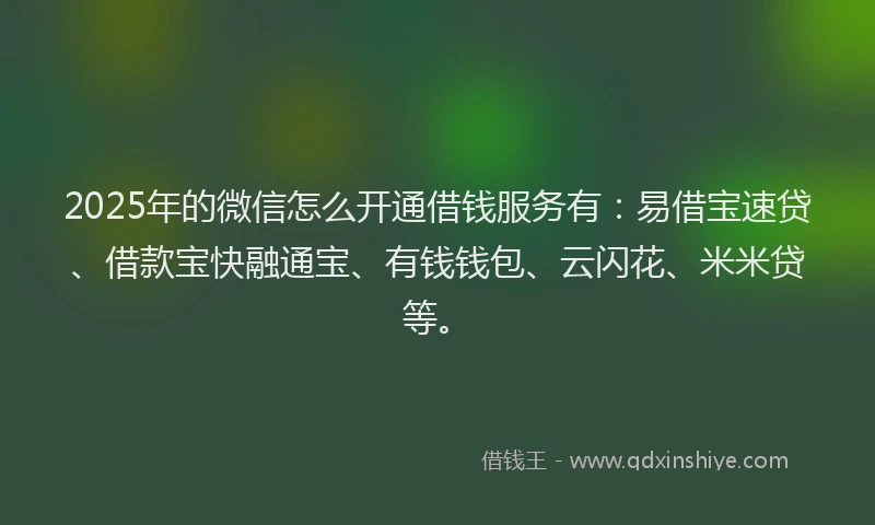 2025年的微信怎么开通借钱服务有：易借宝速贷、借款宝快融通宝、有钱钱包、云闪花、米米贷等。