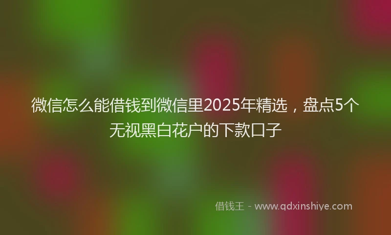 微信怎么能借钱到微信里2025年精选，盘点5个无视黑白花户的下款口子