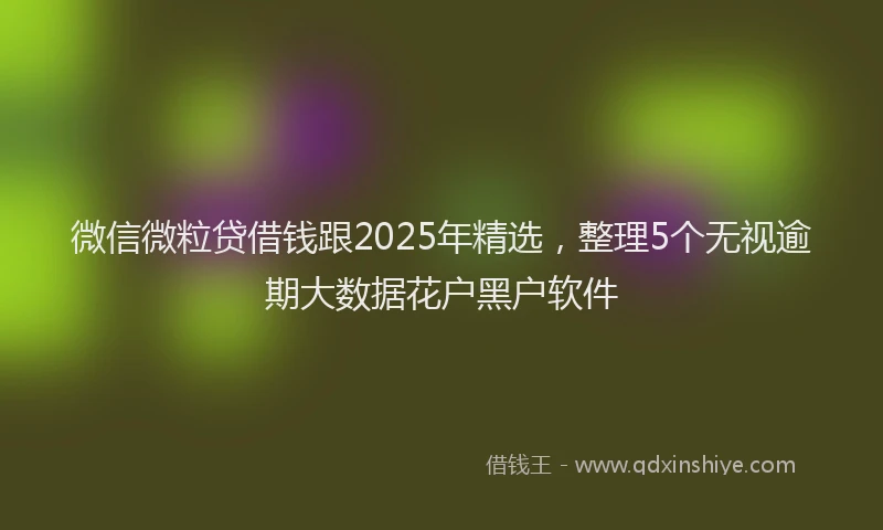 微信微粒贷借钱跟2025年精选，整理5个无视逾期大数据花户黑户软件