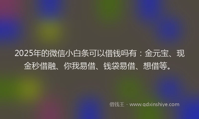 2025年的微信小白条可以借钱吗有：金元宝、现金秒借融、你我易借、钱袋易借、想借等。