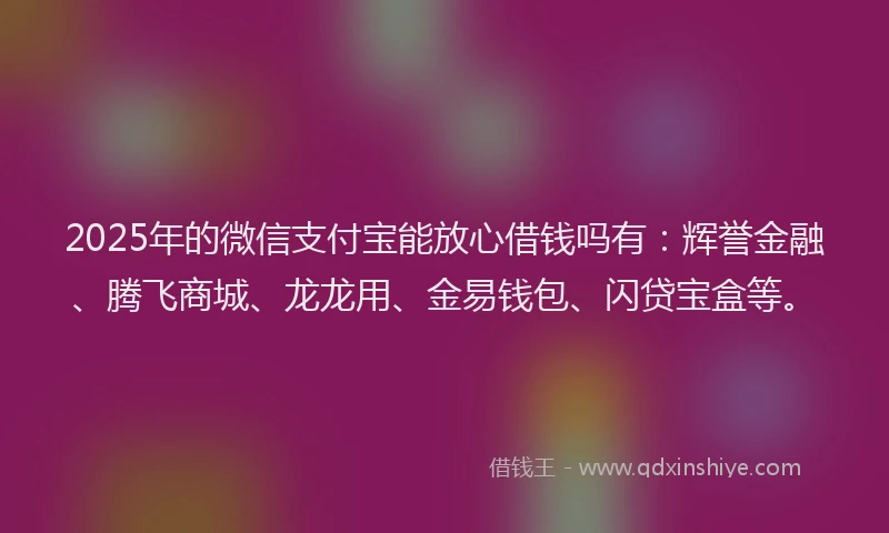 2025年的微信支付宝能放心借钱吗有：辉誉金融、腾飞商城、龙龙用、金易钱包、闪贷宝盒等。