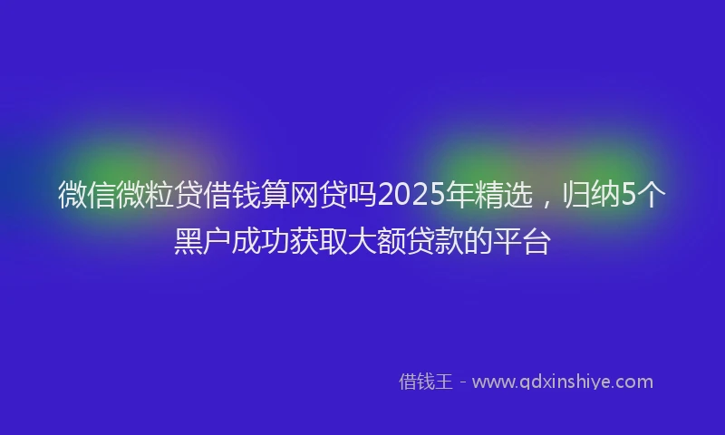 微信微粒贷借钱算网贷吗2025年精选，归纳5个黑户成功获取大额贷款的平台