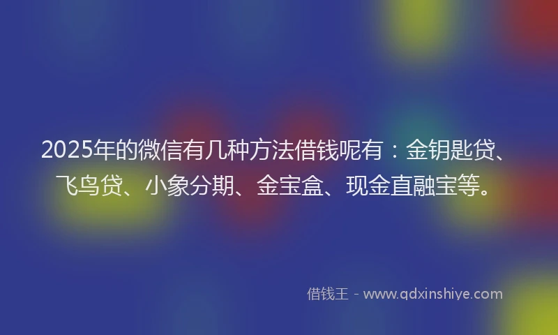 2025年的微信有几种方法借钱呢有：金钥匙贷、飞鸟贷、小象分期、金宝盒、现金直融宝等。