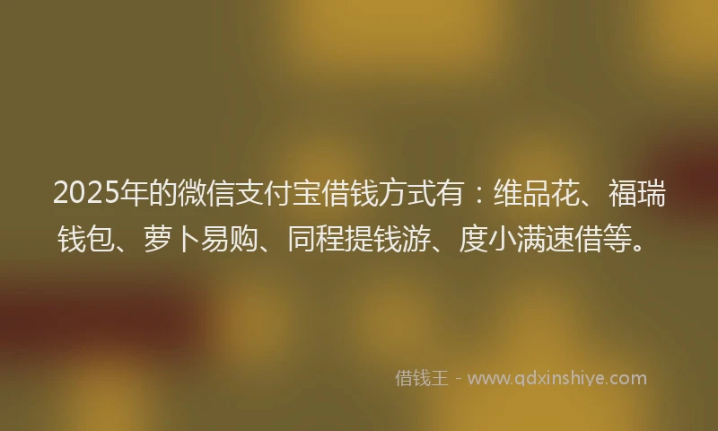 2025年的微信支付宝借钱方式有：维品花、福瑞钱包、萝卜易购、同程提钱游、度小满速借等。