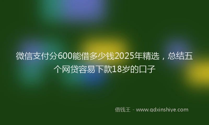 微信支付分600能借多少钱2025年精选，总结五个网贷容易下款18岁的口子