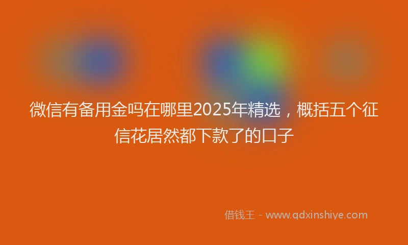 微信有备用金吗在哪里2025年精选，概括五个征信花居然都下款了的口子