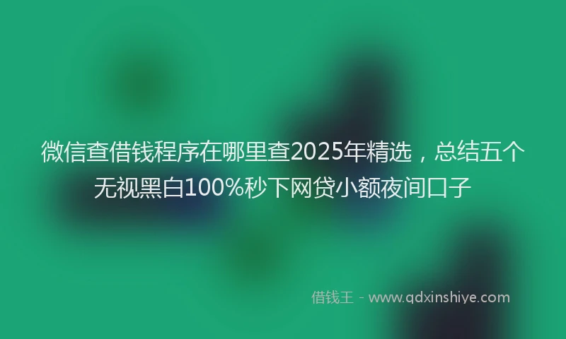 微信查借钱程序在哪里查2025年精选，总结五个无视黑白100%秒下网贷小额夜间口子