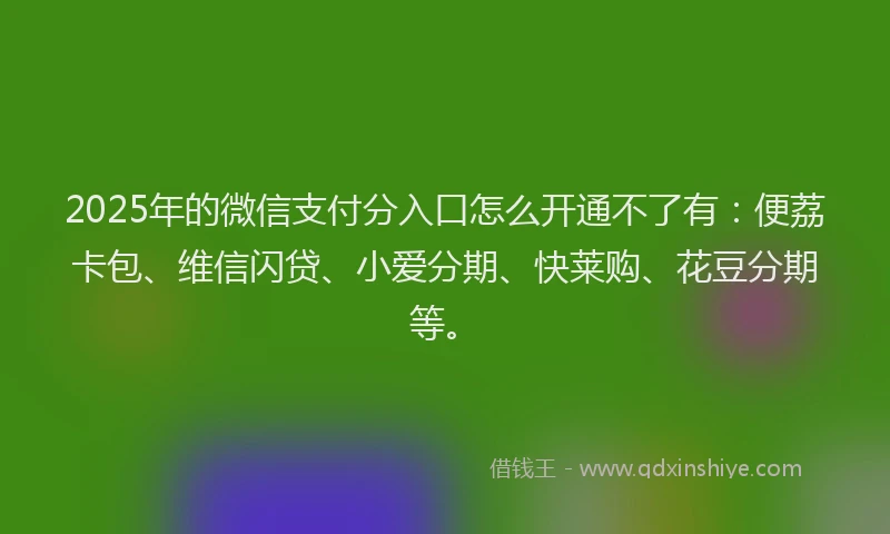 2025年的微信支付分入口怎么开通不了有：便荔卡包、维信闪贷、小爱分期、快莱购、花豆分期等。