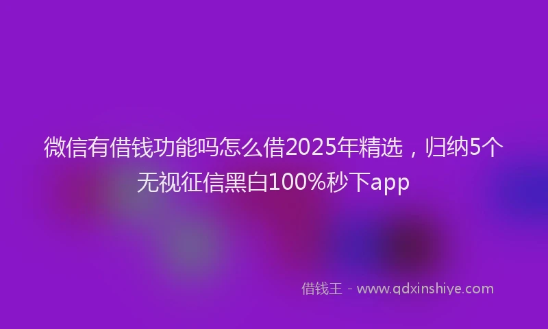微信有借钱功能吗怎么借2025年精选，归纳5个无视征信黑白100%秒下app