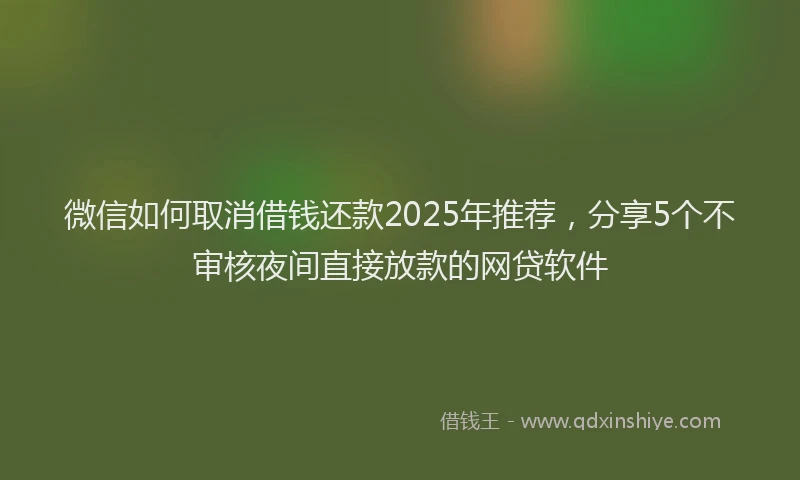 微信如何取消借钱还款2025年推荐，分享5个不审核夜间直接放款的网贷软件