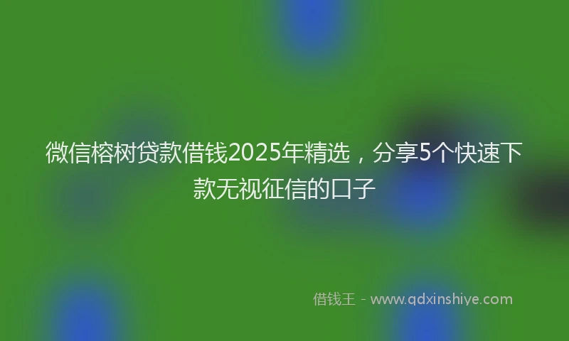 微信榕树贷款借钱2025年精选，分享5个快速下款无视征信的口子