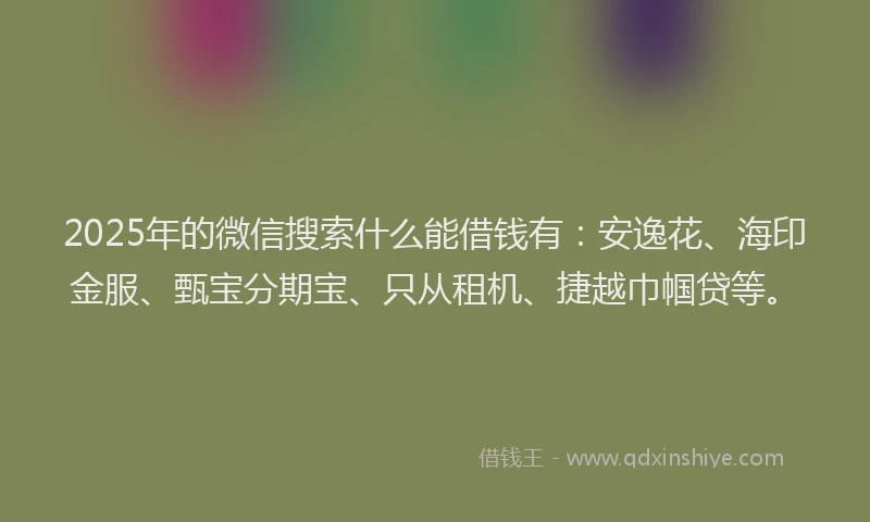 2025年的微信搜索什么能借钱有：安逸花、海印金服、甄宝分期宝、只从租机、捷越巾帼贷等。