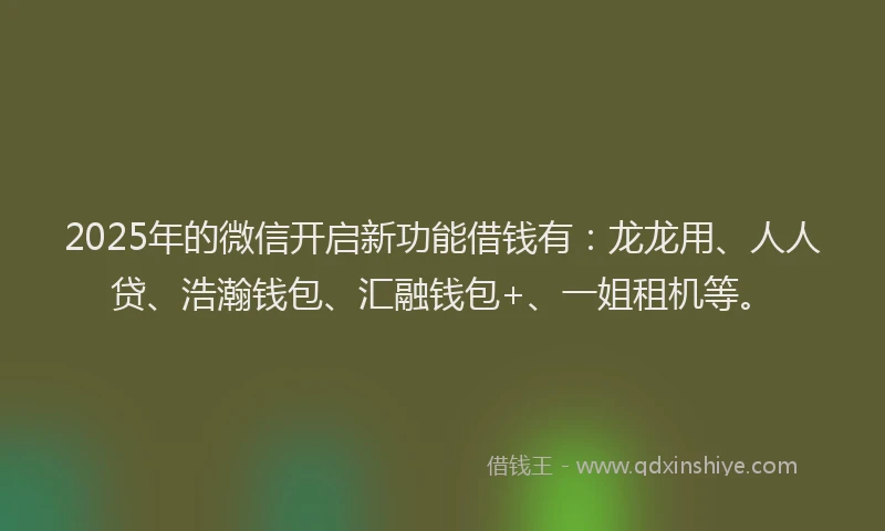 2025年的微信开启新功能借钱有：龙龙用、人人贷、浩瀚钱包、汇融钱包+、一姐租机等。