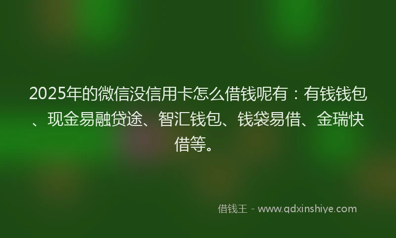 2025年的微信没信用卡怎么借钱呢有：有钱钱包、现金易融贷途、智汇钱包、钱袋易借、金瑞快借等。
