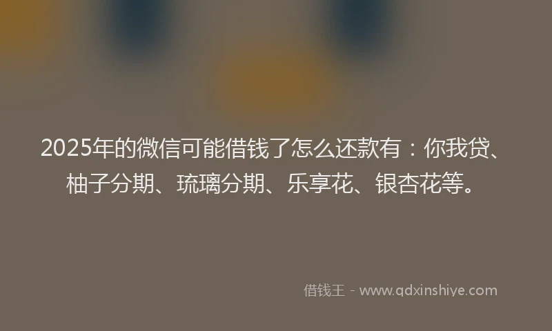 2025年的微信可能借钱了怎么还款有：你我贷、柚子分期、琉璃分期、乐享花、银杏花等。