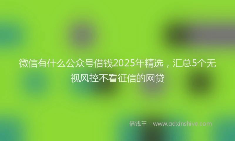 微信有什么公众号借钱2025年精选，汇总5个无视风控不看征信的网贷