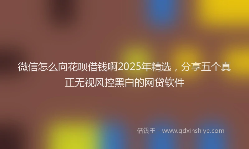 微信怎么向花呗借钱啊2025年精选，分享五个真正无视风控黑白的网贷软件