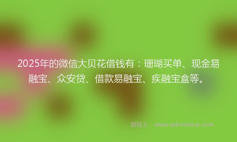 2025年的微信大贝花借钱有：珊瑚买单、现金易融宝、众安贷、借款易融宝、疾融宝盒等。