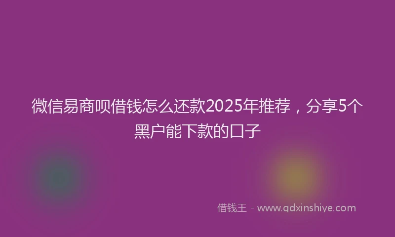 微信易商呗借钱怎么还款2025年推荐，分享5个黑户能下款的口子