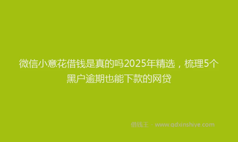 微信小意花借钱是真的吗2025年精选，梳理5个黑户逾期也能下款的网贷