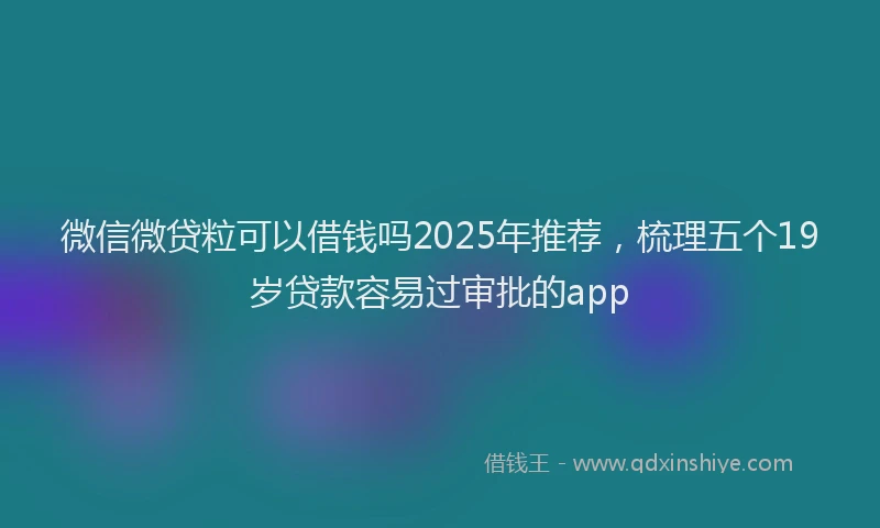 微信微贷粒可以借钱吗2025年推荐，梳理五个19岁贷款容易过审批的app