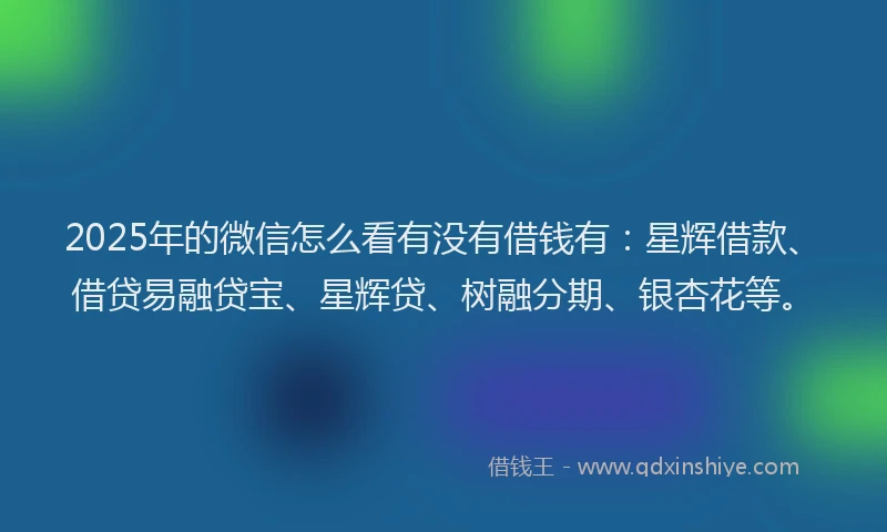 2025年的微信怎么看有没有借钱有：星辉借款、借贷易融贷宝、星辉贷、树融分期、银杏花等。