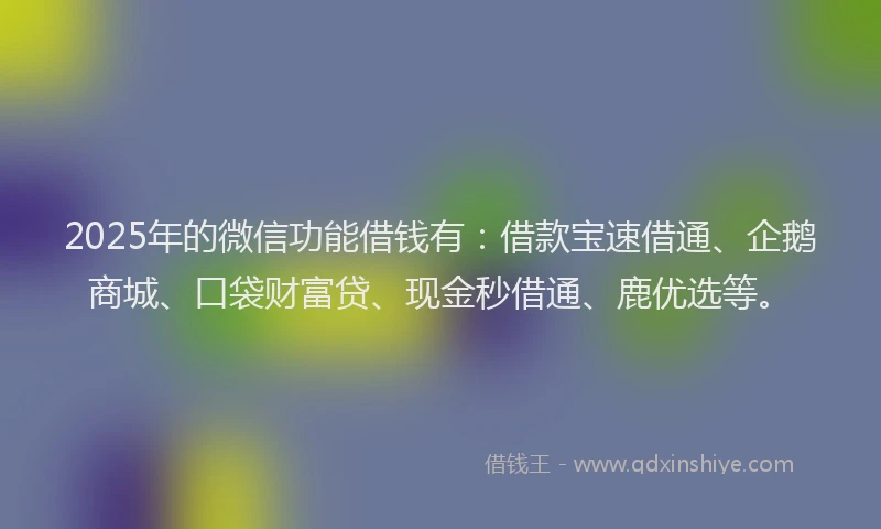 2025年的微信功能借钱有：借款宝速借通、企鹅商城、口袋财富贷、现金秒借通、鹿优选等。