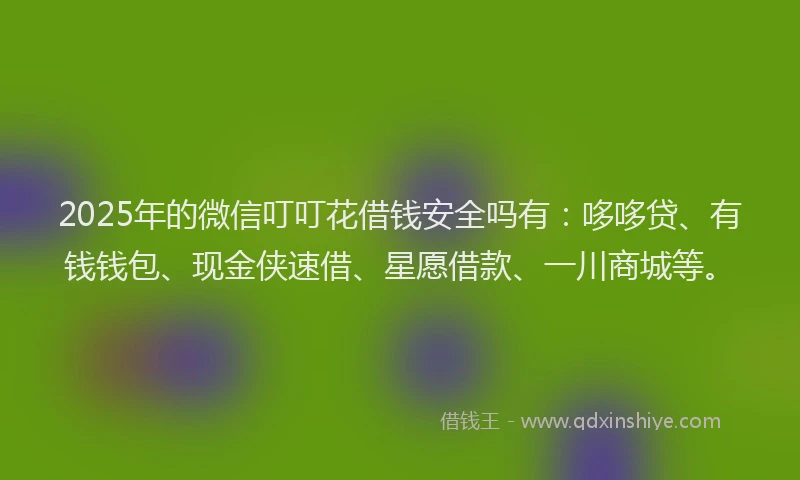 2025年的微信叮叮花借钱安全吗有：哆哆贷、有钱钱包、现金侠速借、星愿借款、一川商城等。