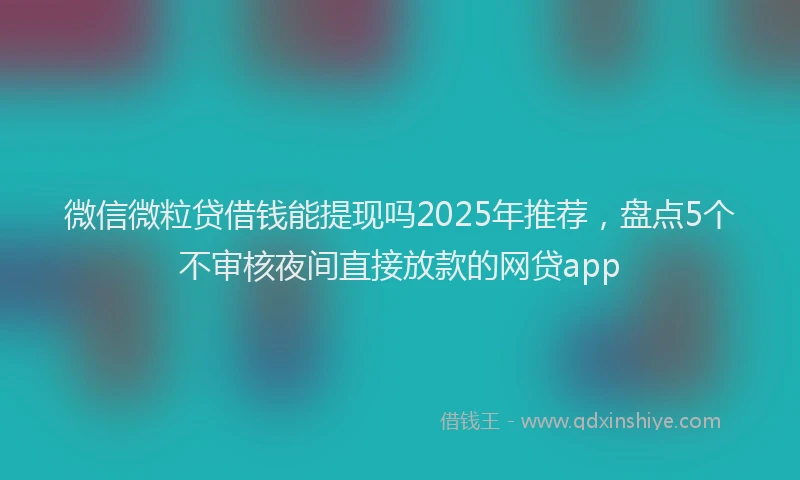 微信微粒贷借钱能提现吗2025年推荐，盘点5个不审核夜间直接放款的网贷app