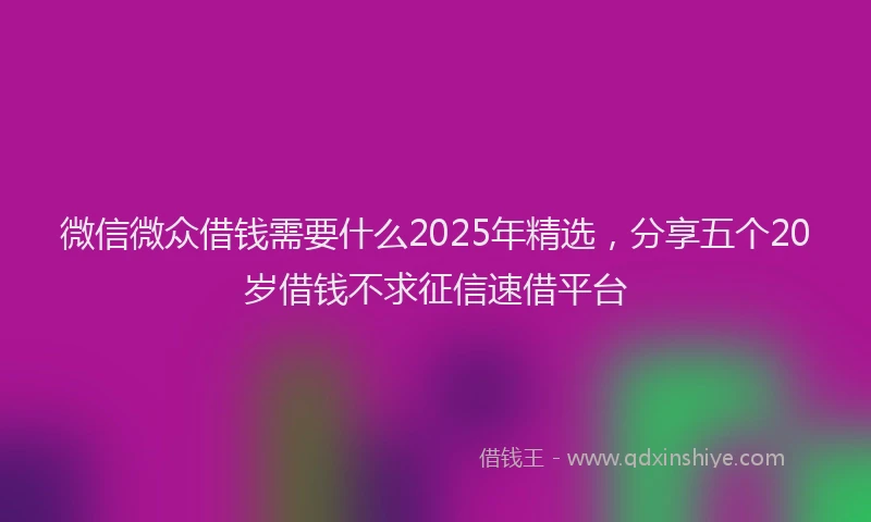 微信微众借钱需要什么2025年精选，分享五个20岁借钱不求征信速借平台