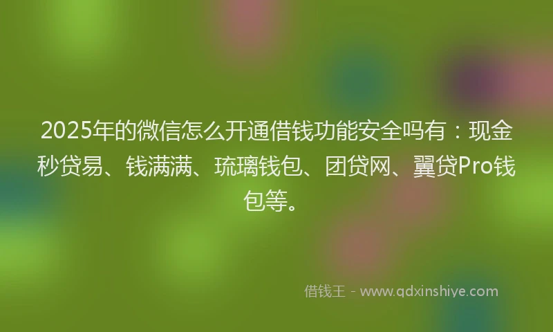2025年的微信怎么开通借钱功能安全吗有：现金秒贷易、钱满满、琉璃钱包、团贷网、翼贷Pro钱包等。