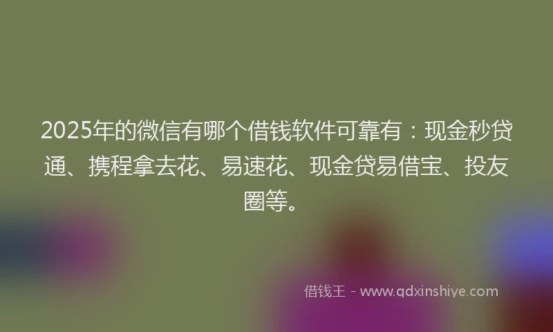 2025年的微信有哪个借钱软件可靠有：现金秒贷通、携程拿去花、易速花、现金贷易借宝、投友圈等。